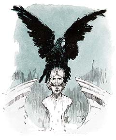 raven illustration